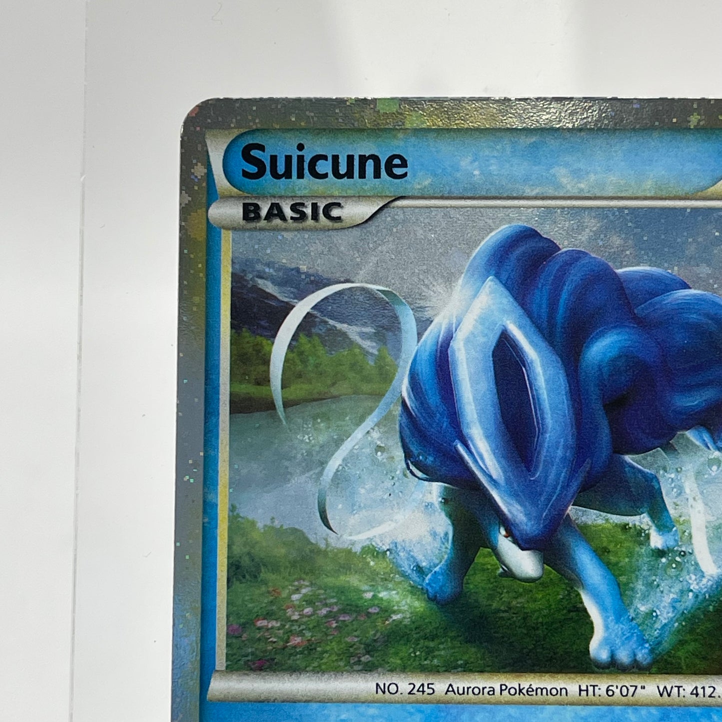 Pokémon TCG Suicune #HGSS21 HGSS Promo Trading Card HGSS21