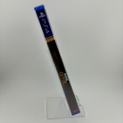 New Pong Quest (Sony PlayStation 4 PS4, 2020)