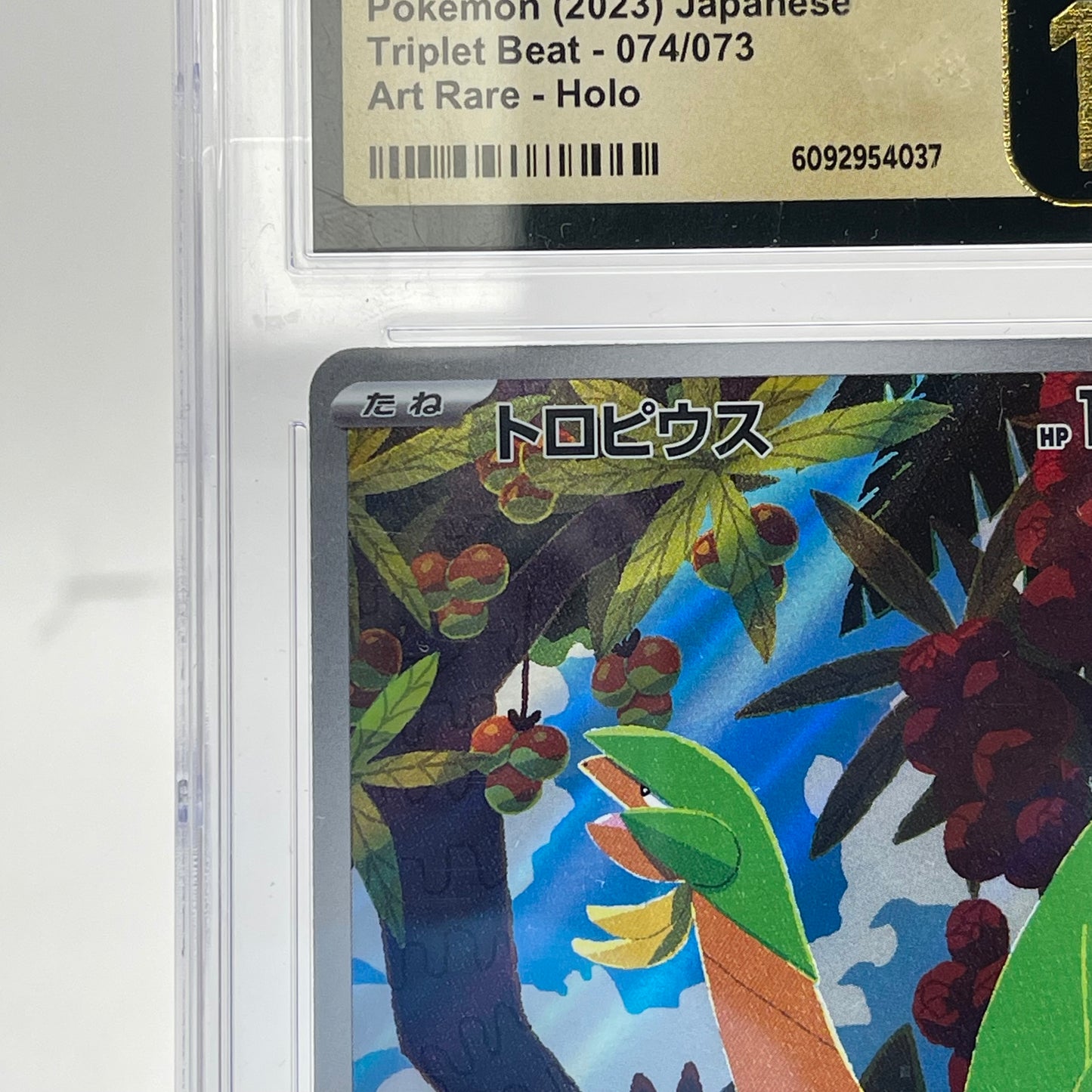 Pokémon TCG Tropius #74 Triple Beat Trading Card 74/73 JP CGC 10 Pristine
