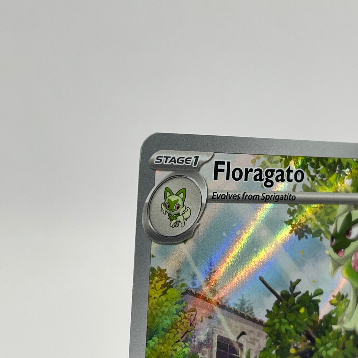 Pokémon TCG Paldea Evolved Floragato #197 Trading Card 197/193