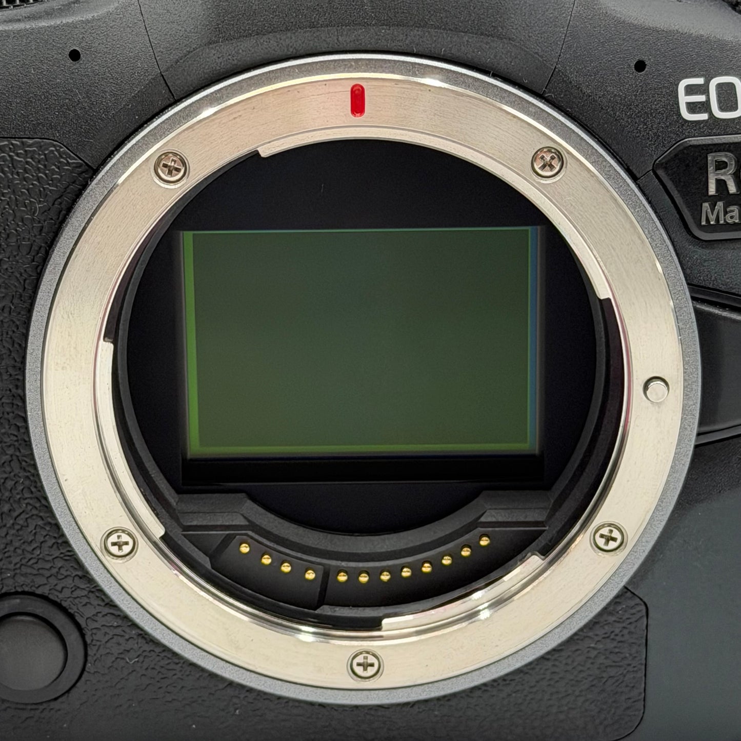 Canon EOS R6 Mark II 24.2MP Digital SLR DSLR Camera 433 Shutter Count